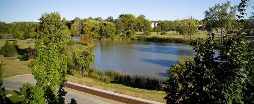 Photo of pond outside Brighton campus