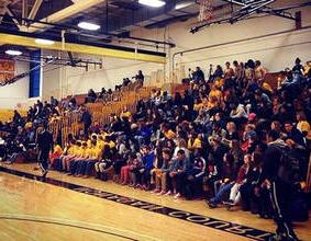 m-pire fans in the stands in a gym